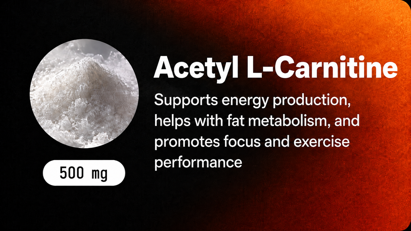 Acetyl L-Carnitine