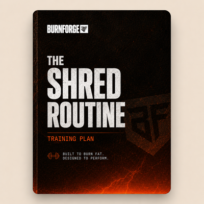 Shred Routine Ebook