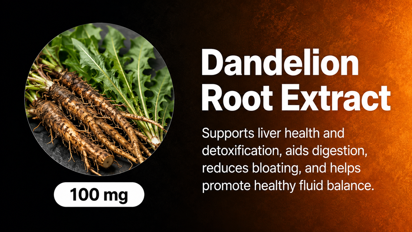Dandelion Root Extract