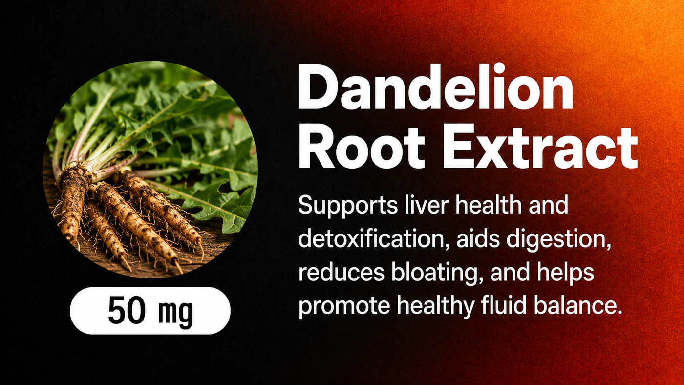 Dandelion Root Extract