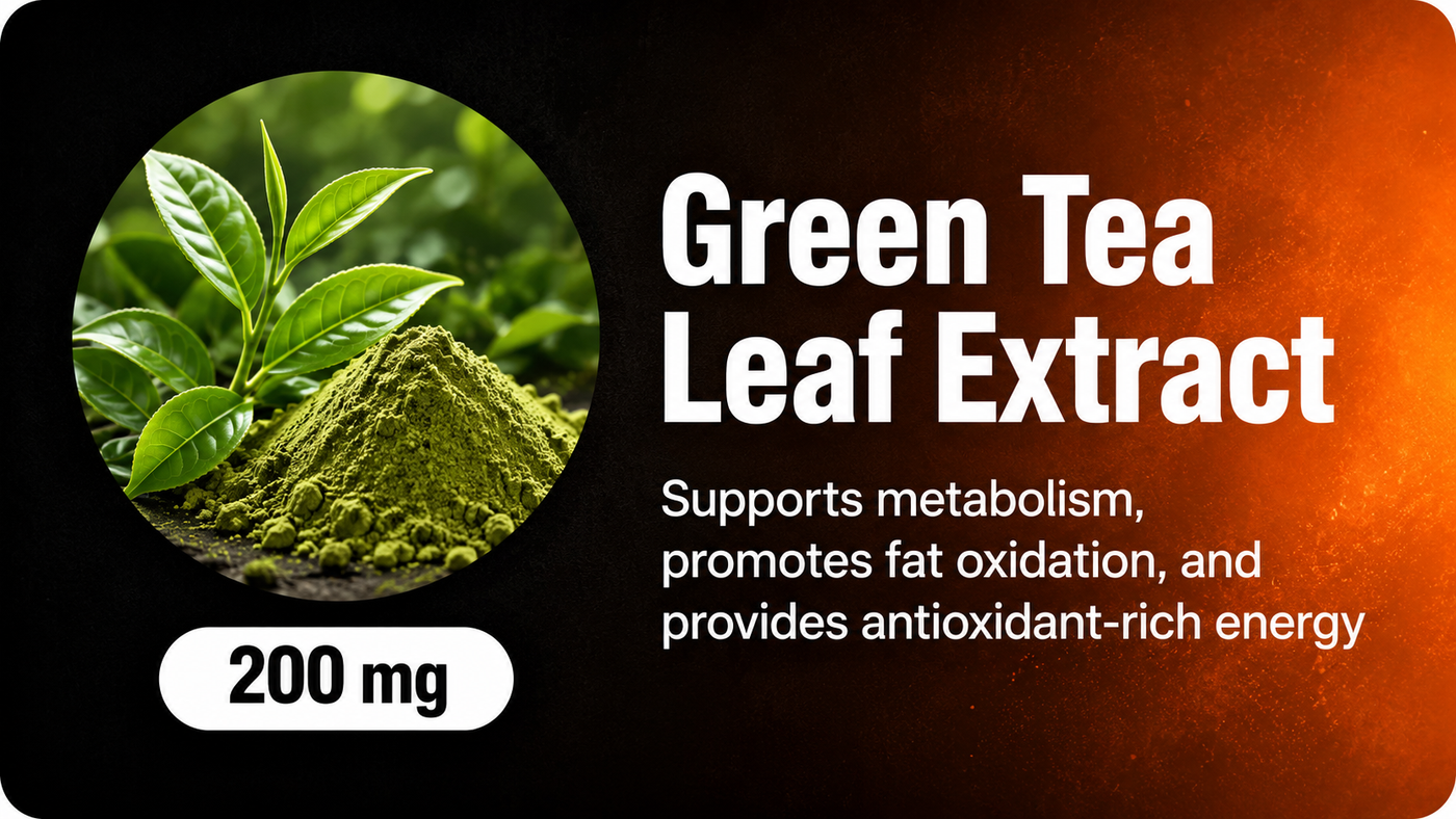 Green Tea Leaf Extract