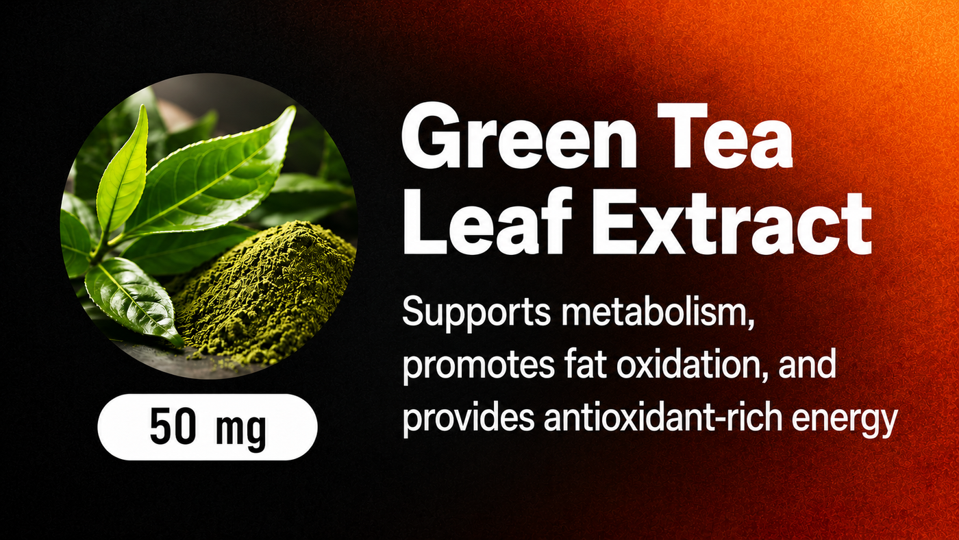 Green Tea Leaf Extract